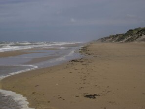 A beach with waves, a sandy shore, and a cliff. - 5 Star Holiday Home in Skagen (Skagen)