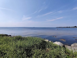 A calm sea with a clear sky, rocky shoreline, and sparse vegetation.