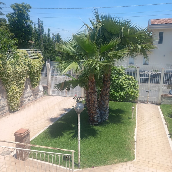 A paved courtyard with a palm tree, a lamp post, and a gated fence.