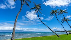 A beach with palm trees, a clear blue sky, and the ocean. - Papakea H404 3 Bedroom Condo by RedAwning (Lahaina)