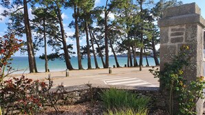 A paved pathway leading to a stone structure with a view of the sea and tall pine trees.