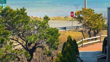 Eine Küstenstraße mit einem Stoppschild, einem Wegweiser zum Provincetown Center und einem hölzernen Steg, der zu einem Strand führt.