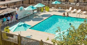 Condo guests can visit the Harbor Hotel pool next door.  Don't forget to grab a drink or some food at the pool bar. - P-Town Beach Beauty on the Bay. Water View! (Provincetown)