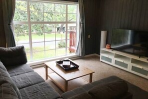 Televisor