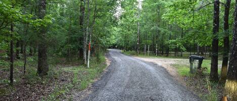 A gravel road in a forested area with trees on both sides.