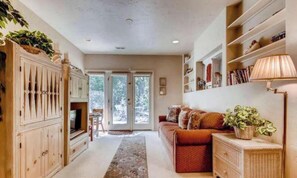 TV, fireplace, DVD player, books
