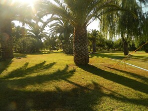 A park with palm trees and a grassy area. - Le Quattro Lune (Orosei)