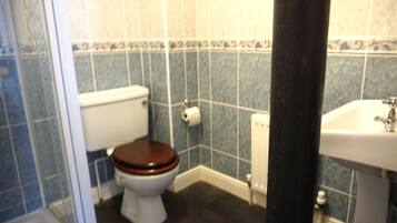 A bathroom with a toilet, a roll of toilet paper, a radiator, and a sink.