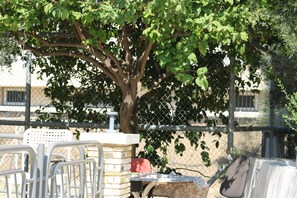 Tuin