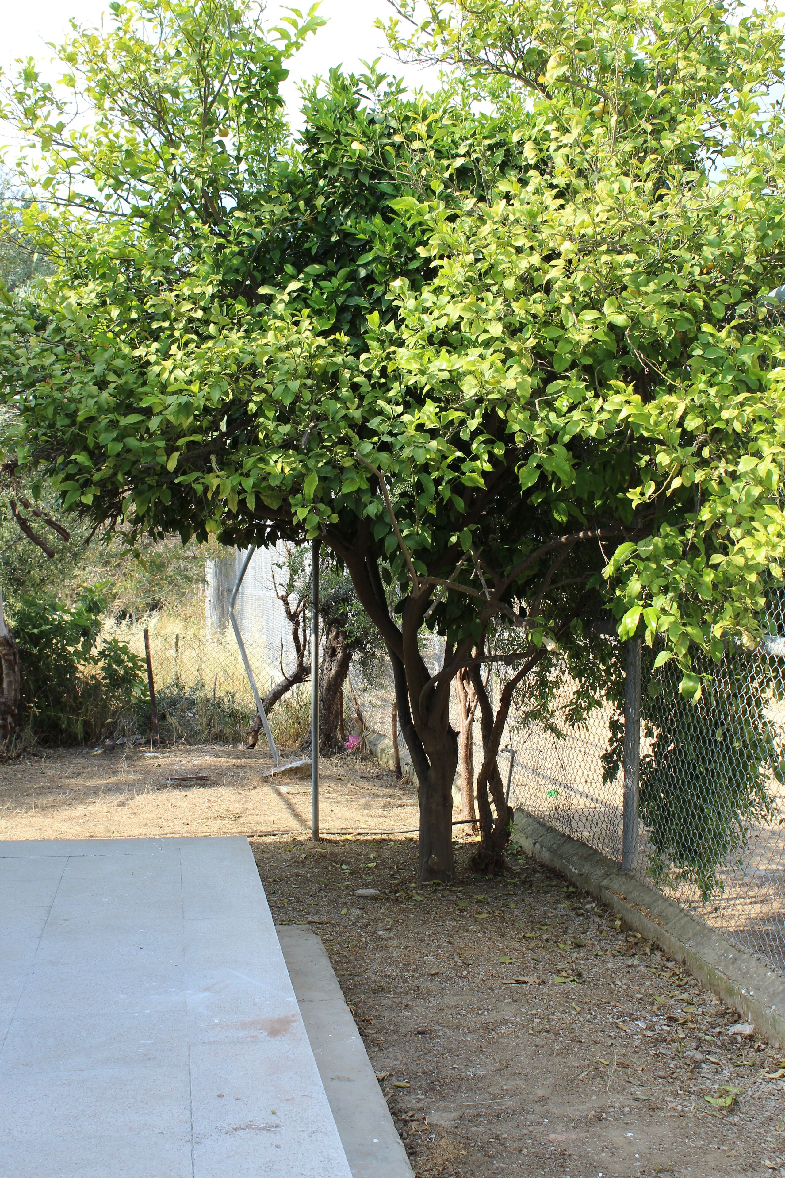 Foto - Costas Hostel Action 2