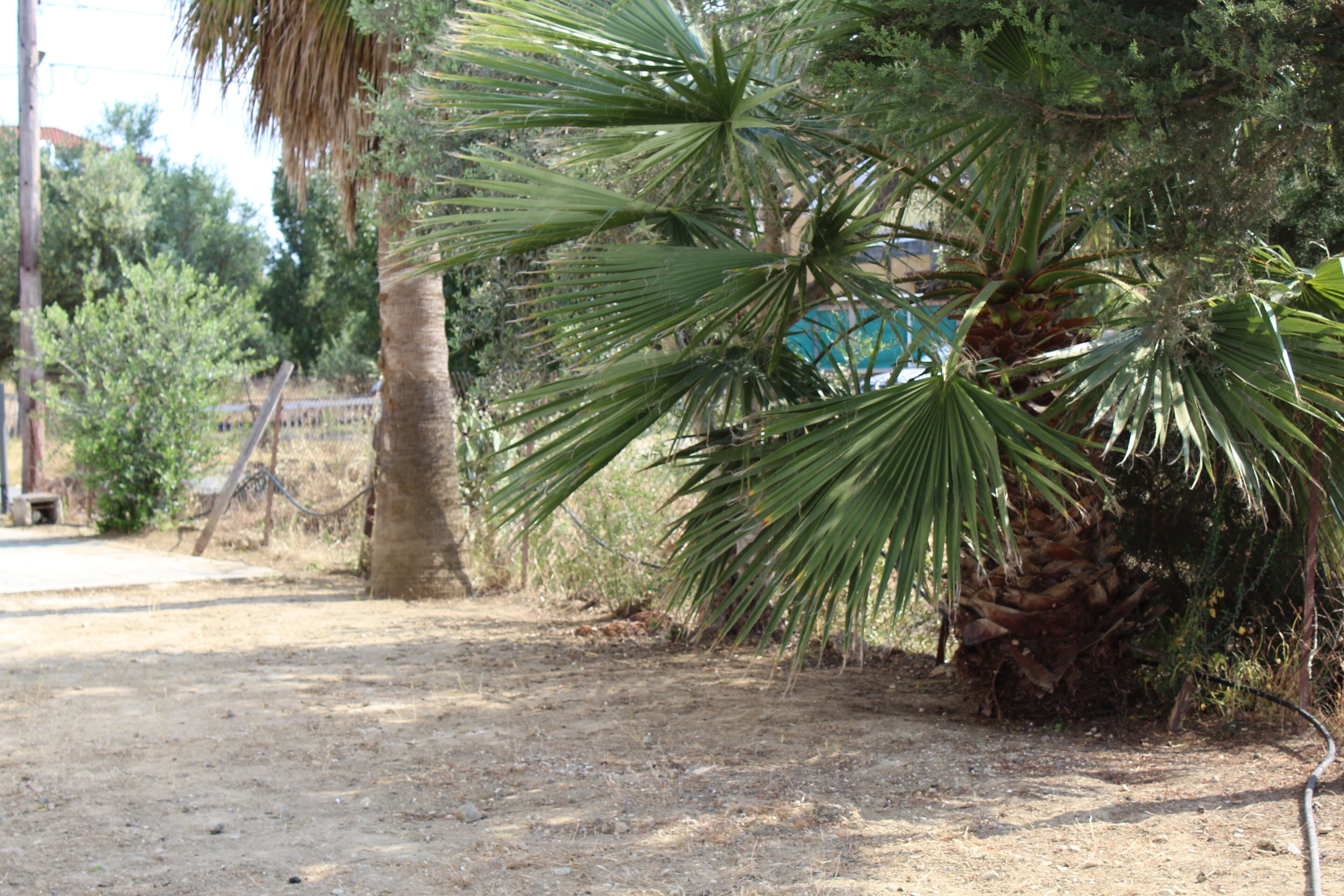 Foto - Costas Hostel Action 2