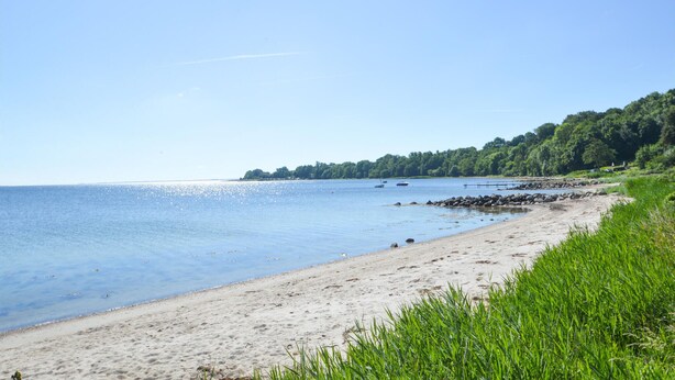 A beach with a sandy shore, calm water, and a forested hill in the background. - Lovely home in Aabenraa with kitchen (Aabenraa)