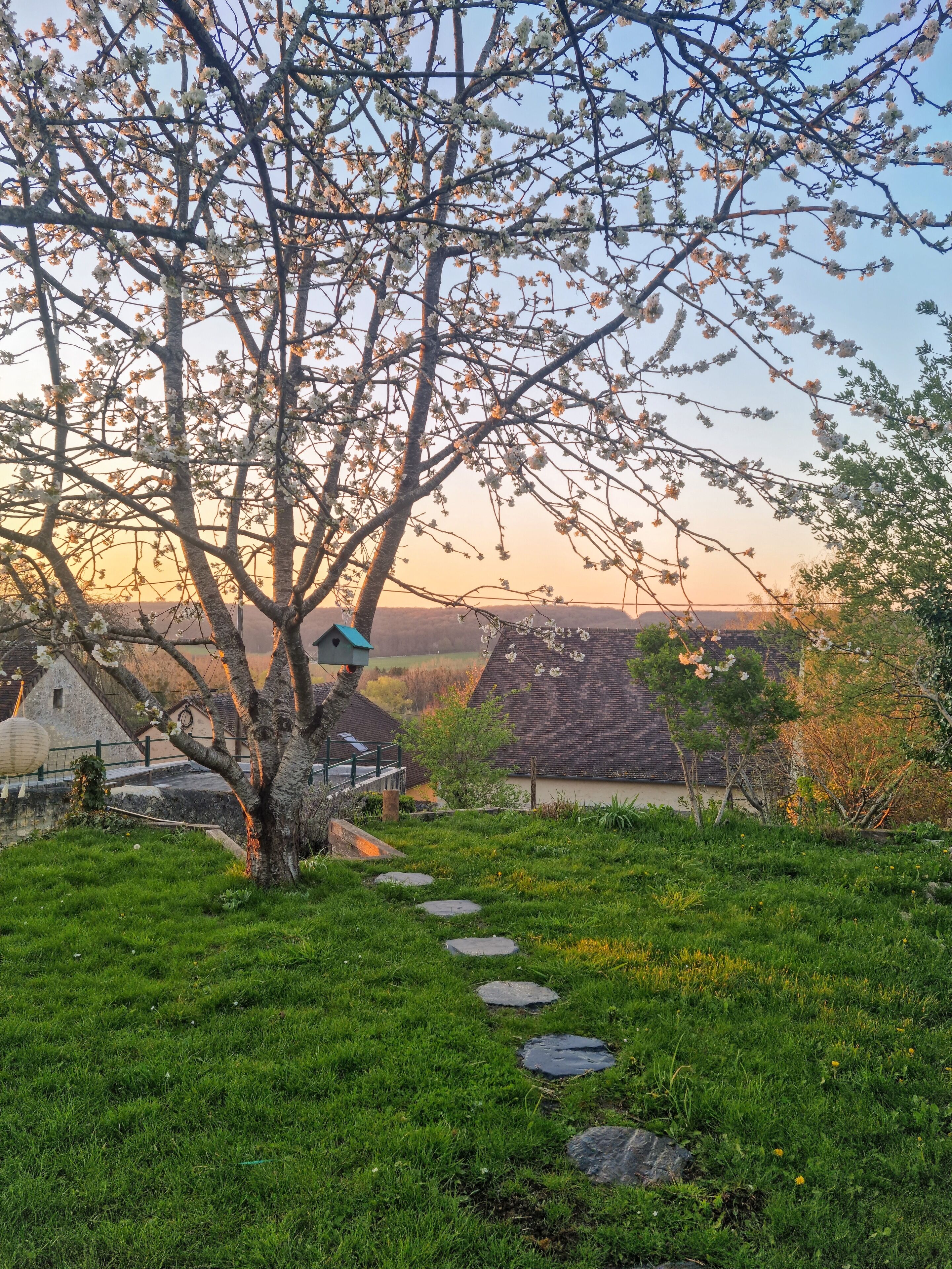 Áreas de la propiedad