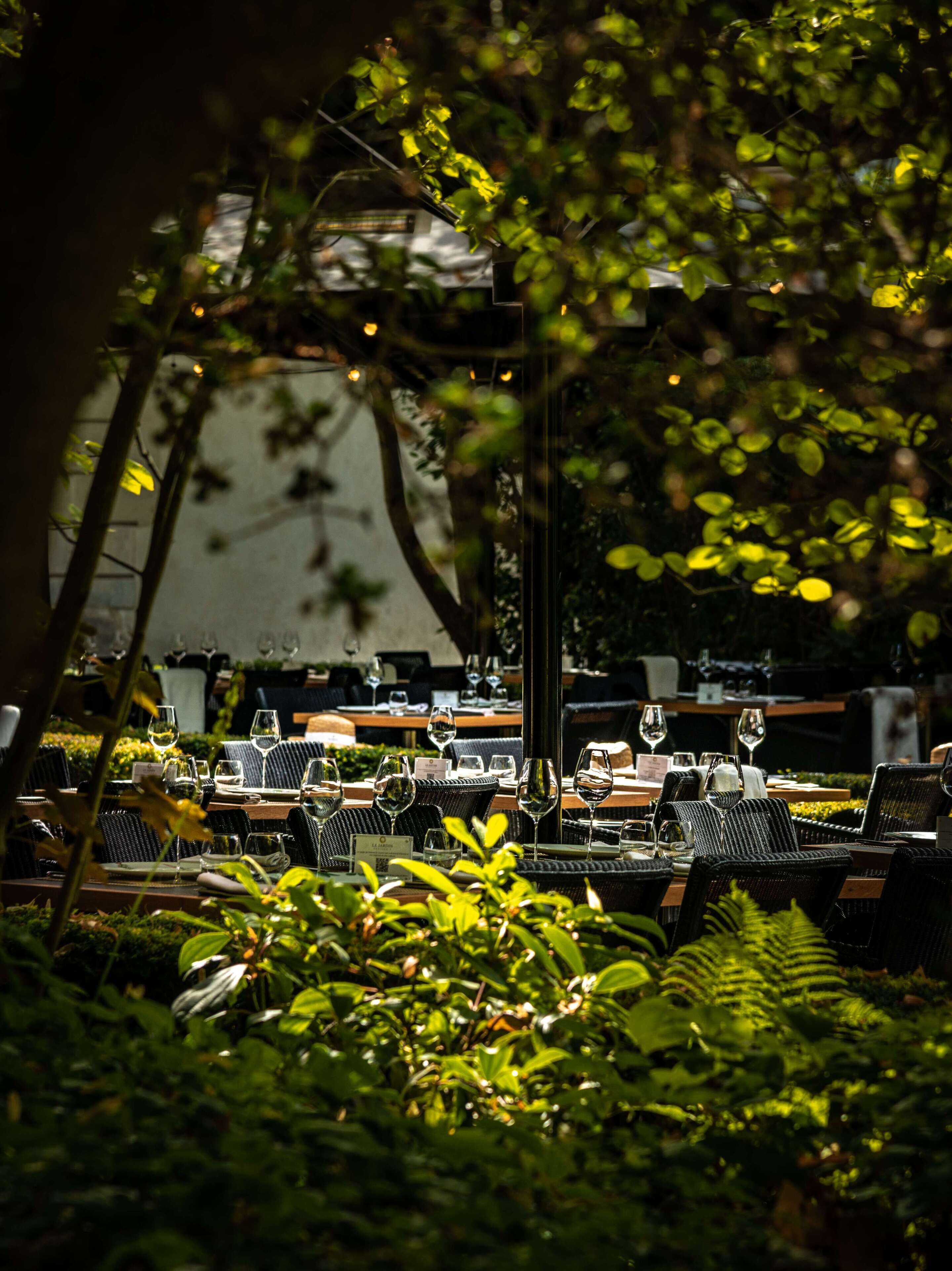 Serveert lunch en diner