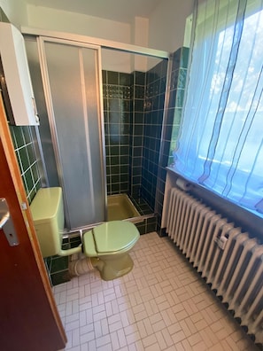 Shower, towels, soap, toilet paper - Beautiful vacation apartment in the Harz Mountains (Lautenthal)