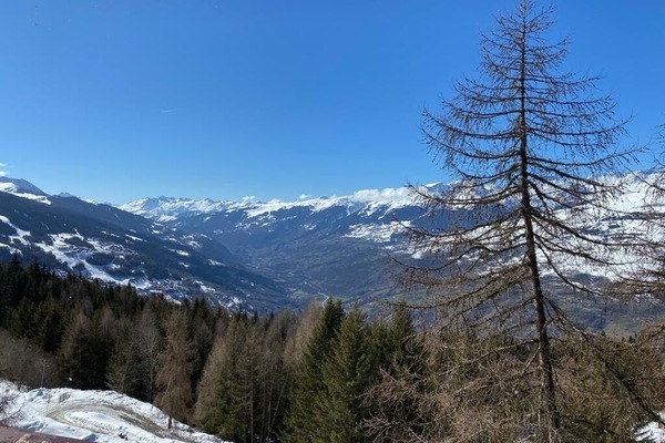 Vue depuis l’hébergement