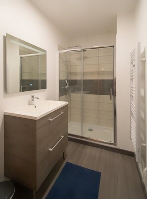 Shower, hair dryer, toilet paper