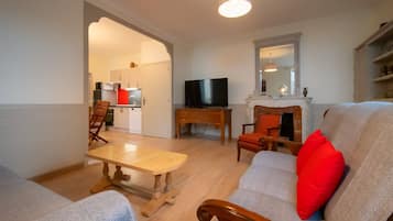 TV, fireplace, DVD player, books