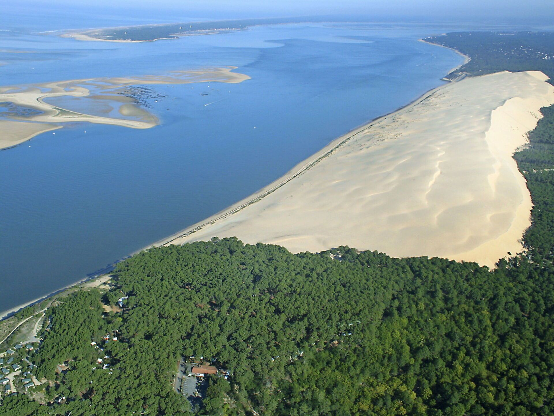 Vista aérea de una zona costera con playa de arena, zona boscosa y una masa de agua.