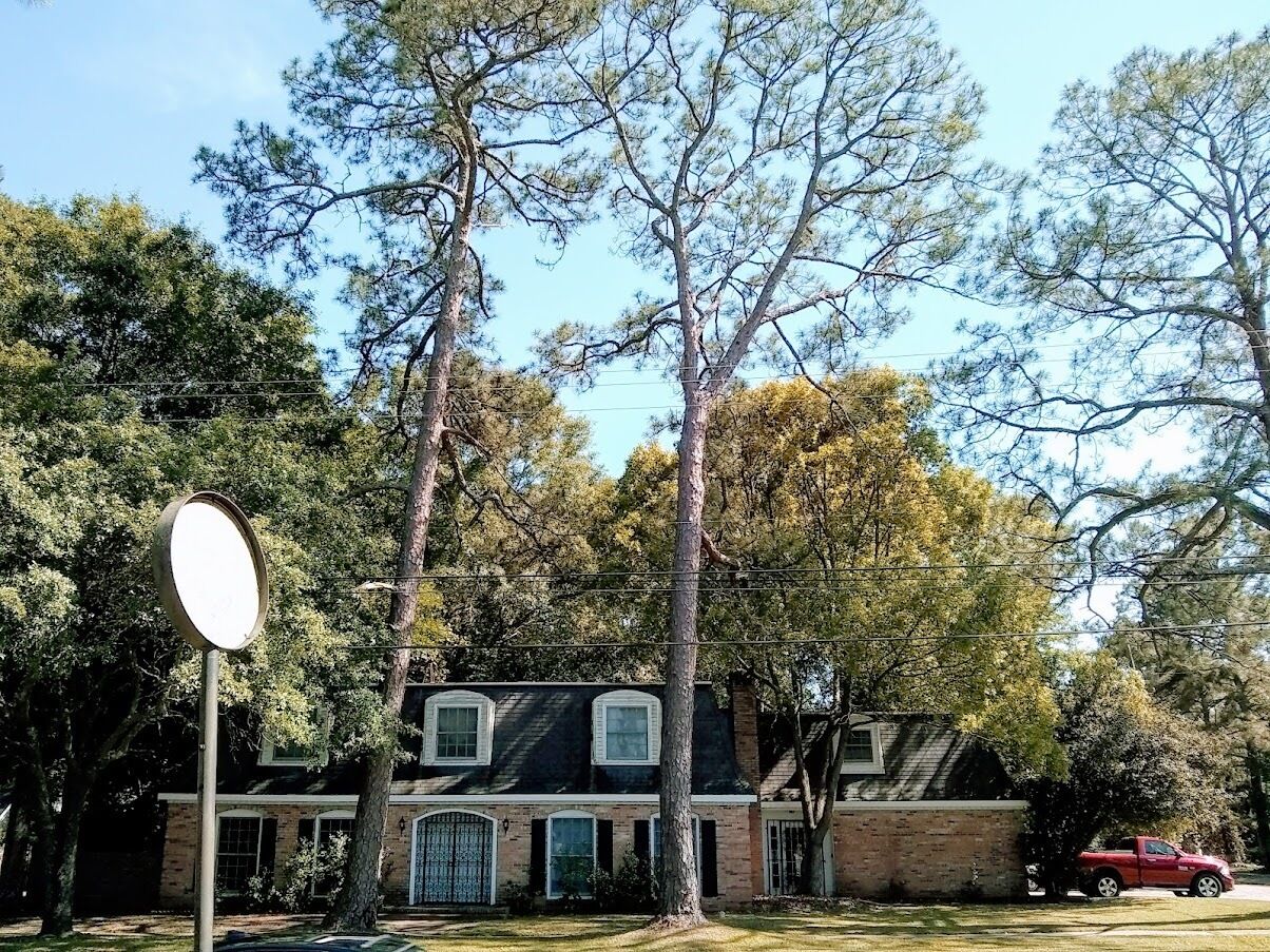 Valerie's  Victoria's Small Apartment #1