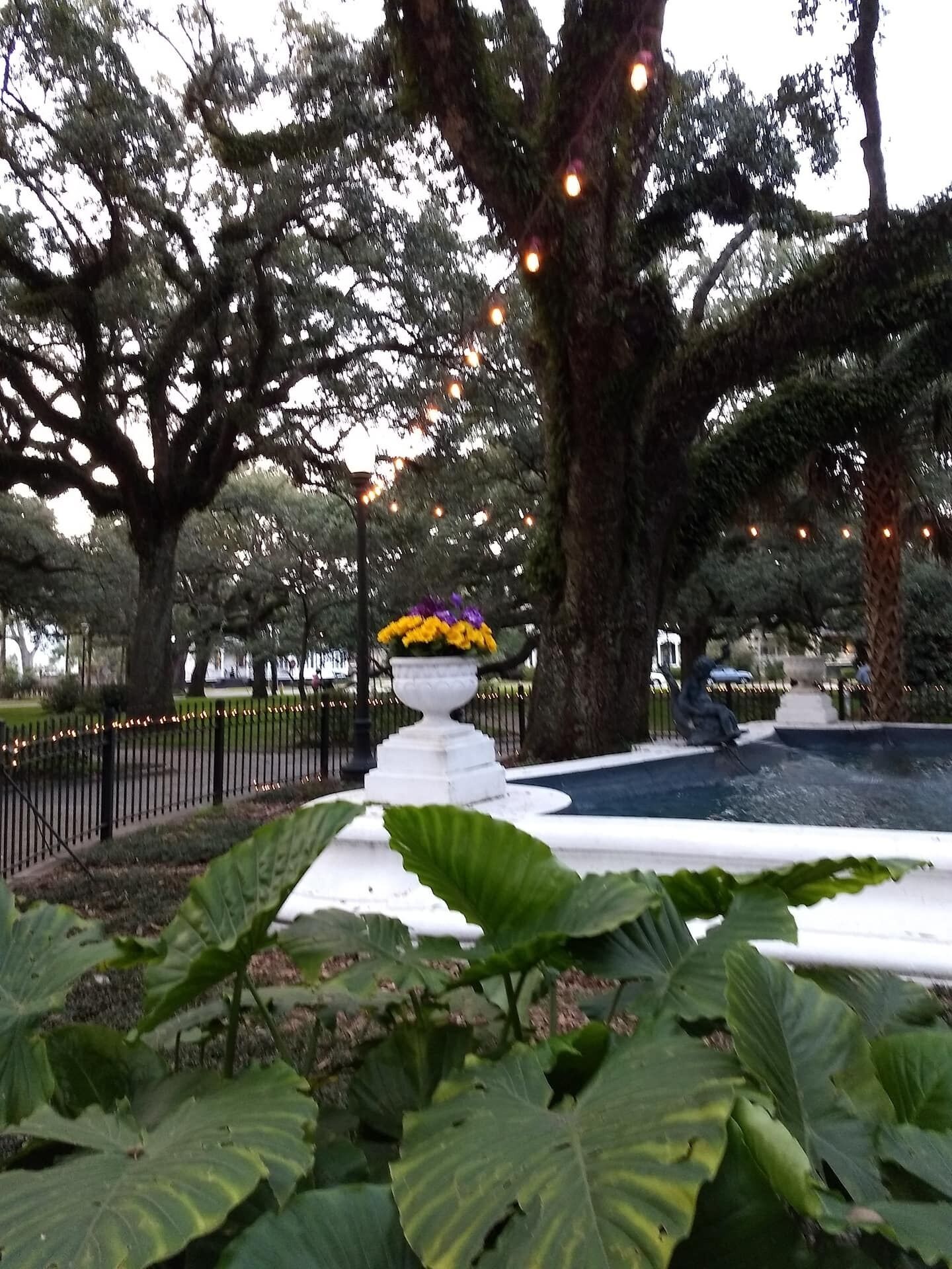 Property grounds