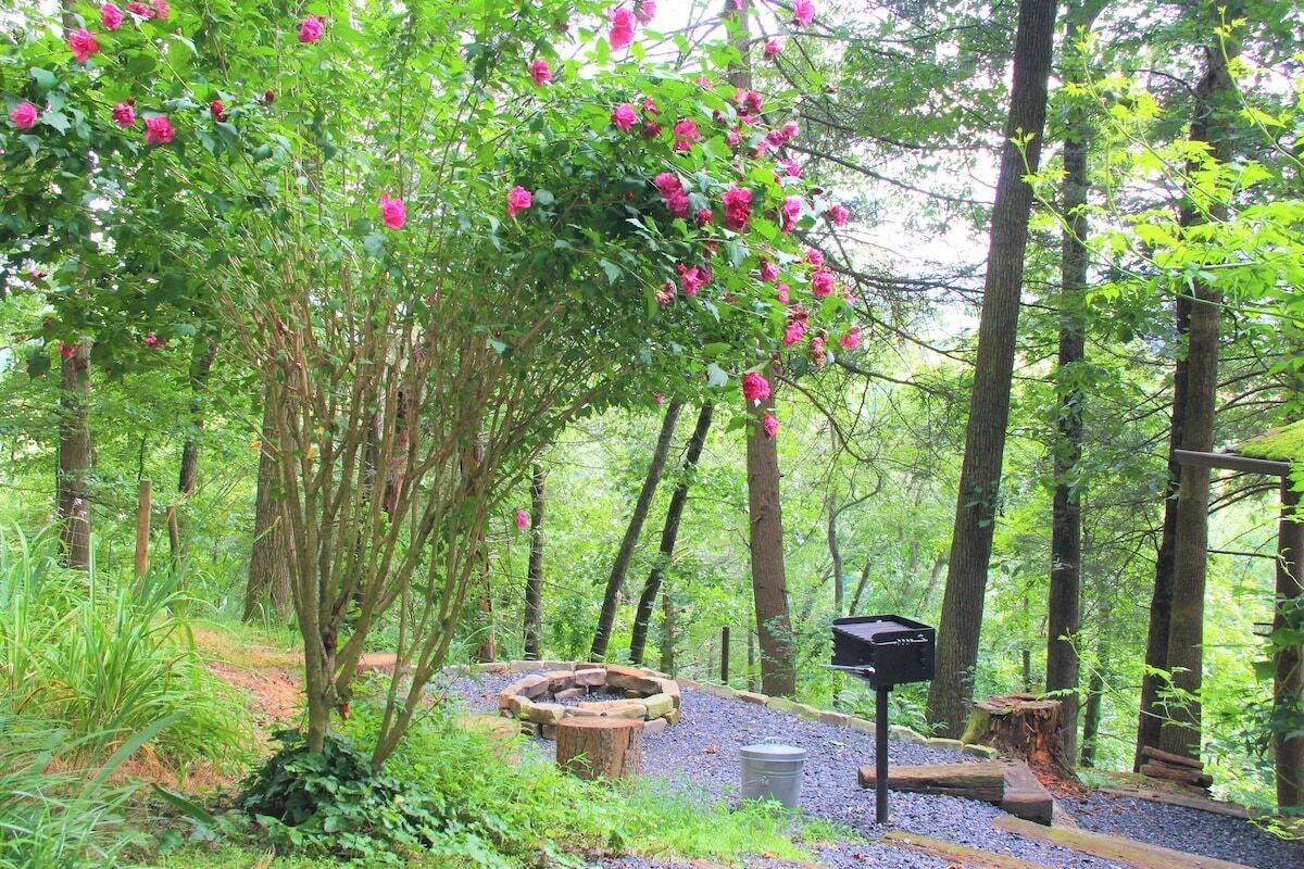 A forested area with a fire pit, a mailbox, and a gravel path.