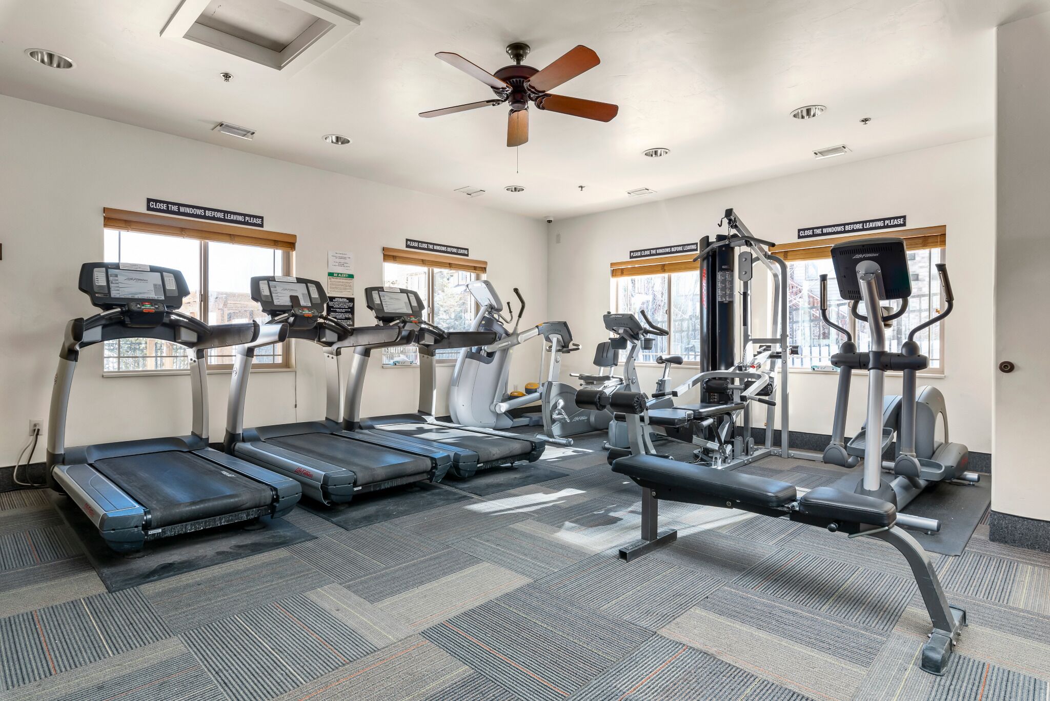 Newly renovated fitness equipment, treadmills, and weights.
