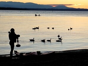 In Strandnähe, Liegestühle, Strandtücher