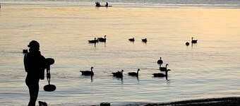 SUPERB LOCATION, Ballard Locks, Seattle, Wa.