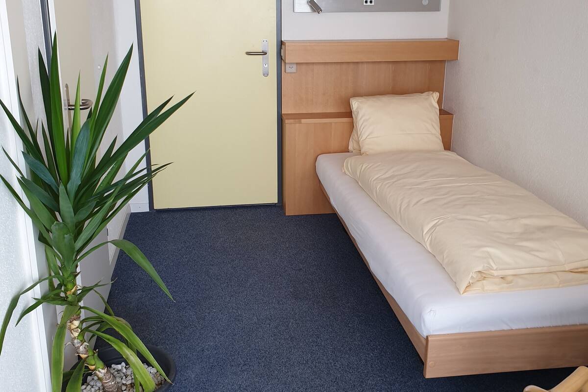 Una habitación pequeña y ordenada con una cama individual, una puerta, una planta en maceta y una lámpara fijada a la pared.