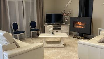 TV, fireplace, ping pong