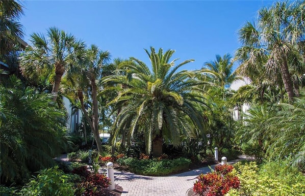 Property grounds - South Seas Villa, RARE Washer Dryer in UNIT Newly Renovated-MONTHLY ONLY (Captiva)