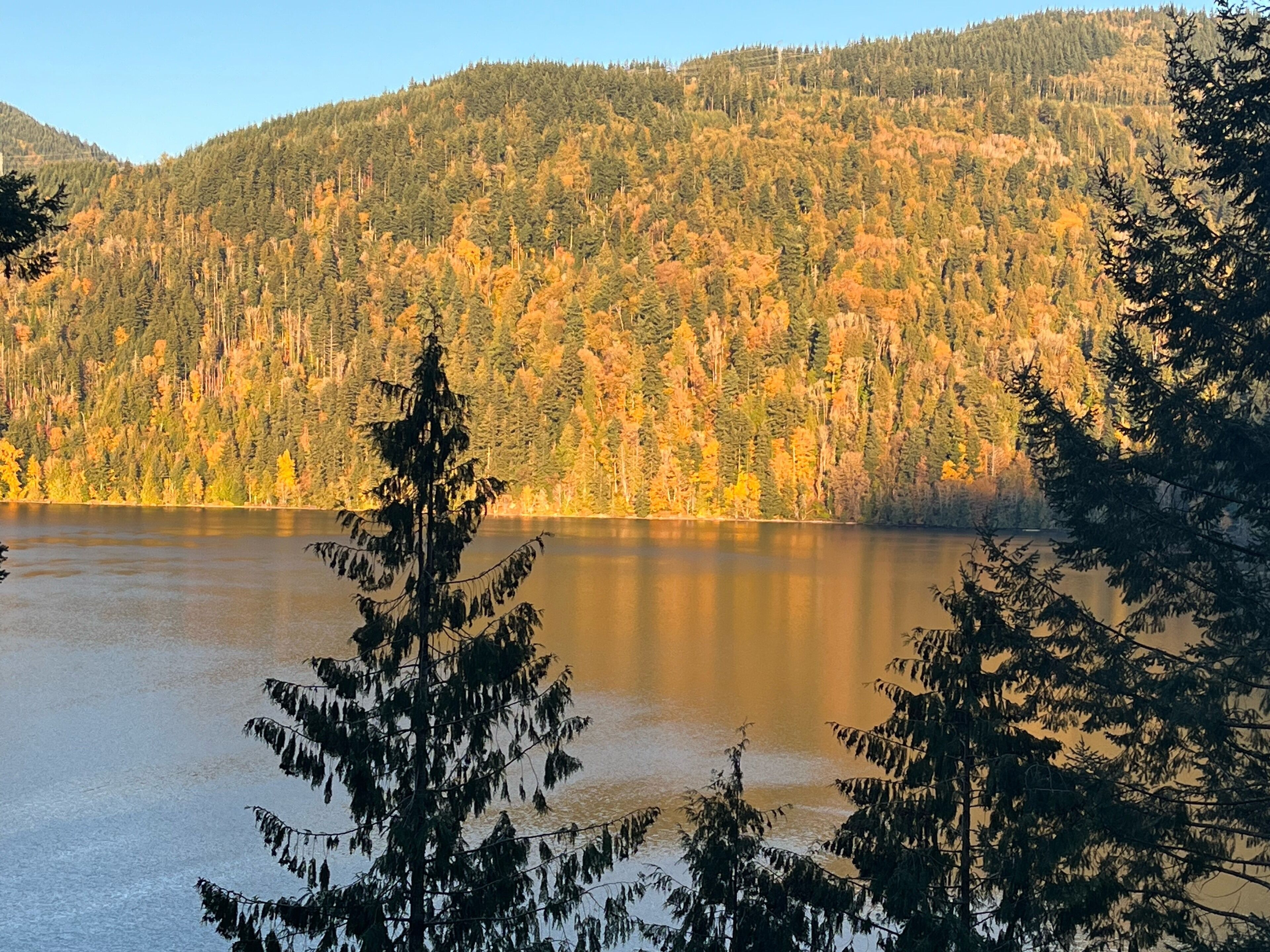 Private Hot Tub and Sauna on the Lake