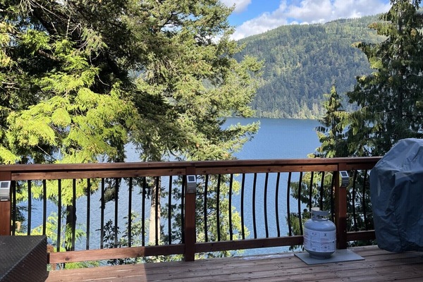 BBQ grill on upper deck off the kitchen - cooking with a view.