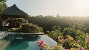 A pool with a thatched-roof structure and lounge chairs.