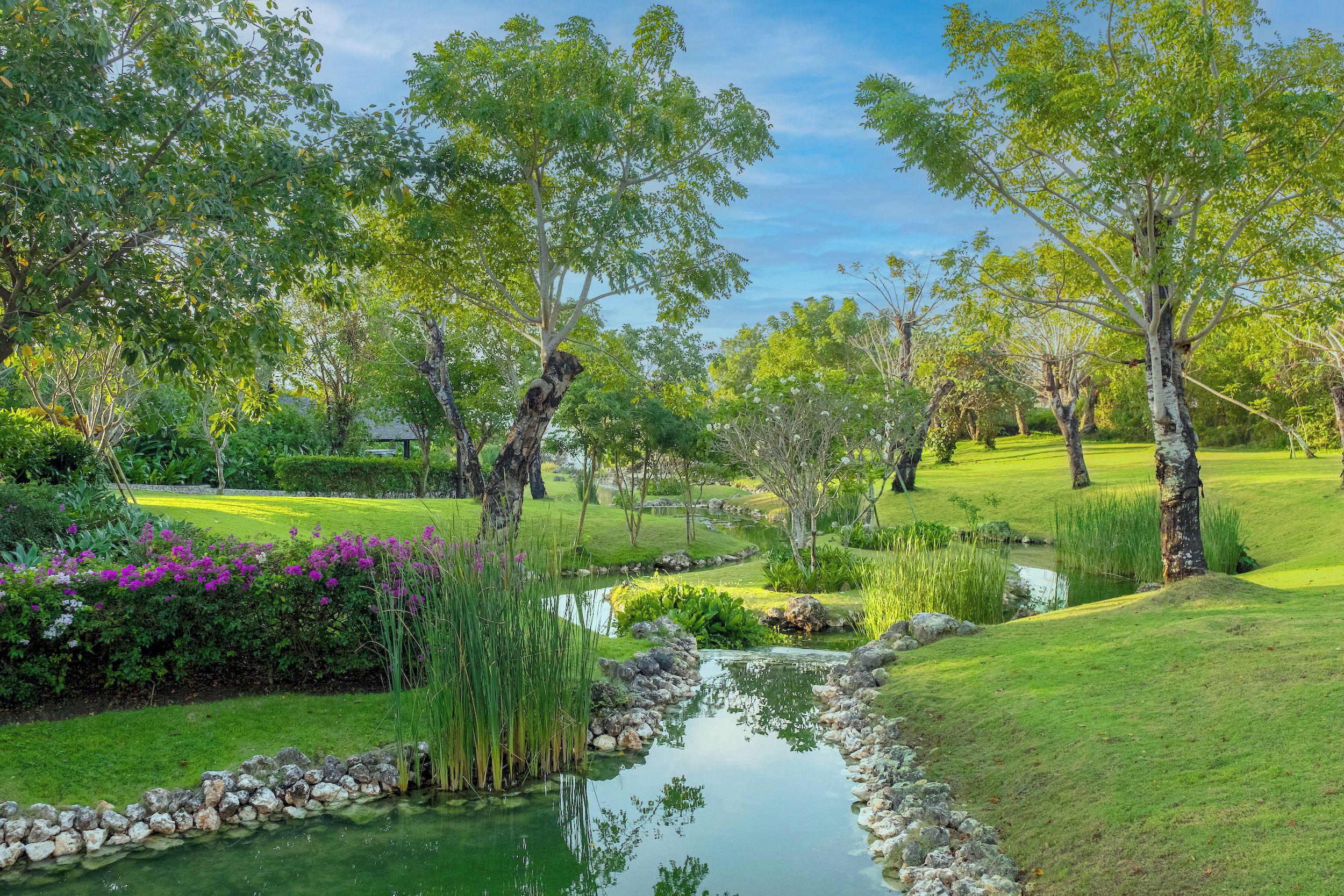 Un jardín tranquilo con un estanque, abundante vegetación y diversas especies de árboles.