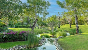 Un jardín tranquilo con un estanque, abundante vegetación y diversas especies de árboles.