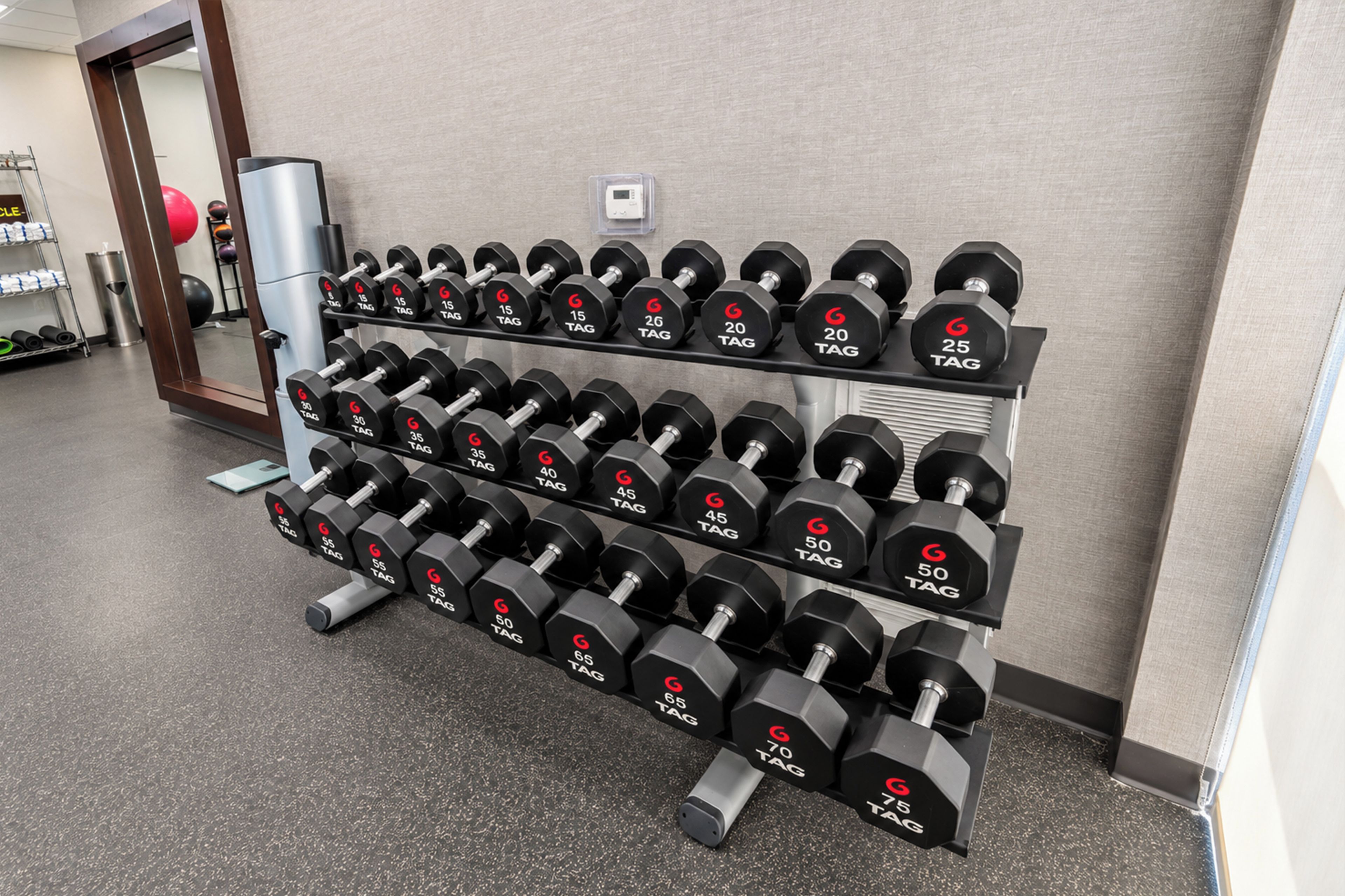 A rack of dumbbells in a gym with various weight options.