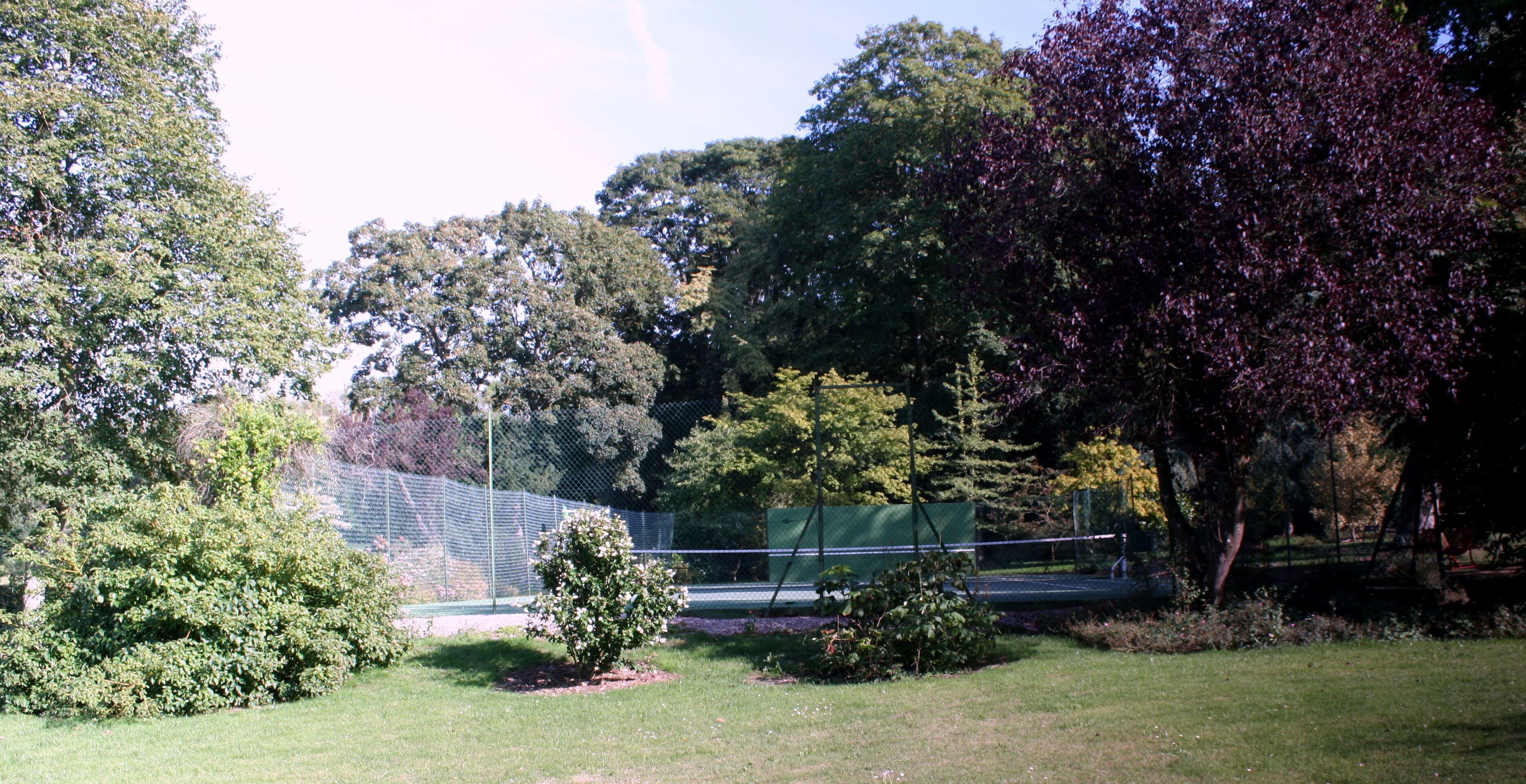Un espace clos, agrémenté d’arbres et d’un petit arbuste.