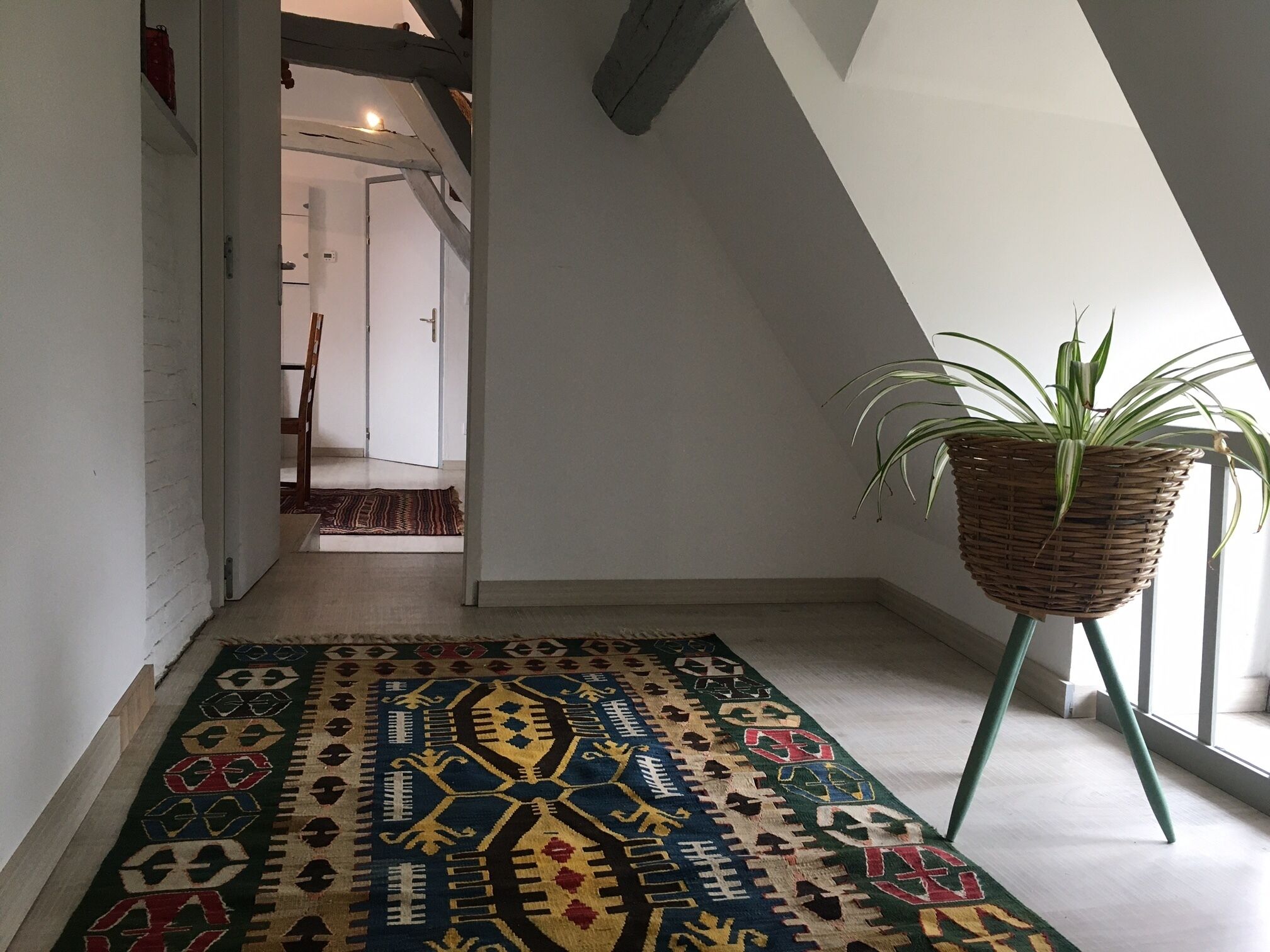 Un pasillo estrecho con un tapete estampado, una planta colgante y una puerta que da a otra habitación.