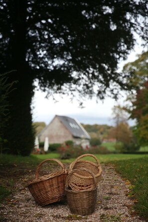 Jardin
