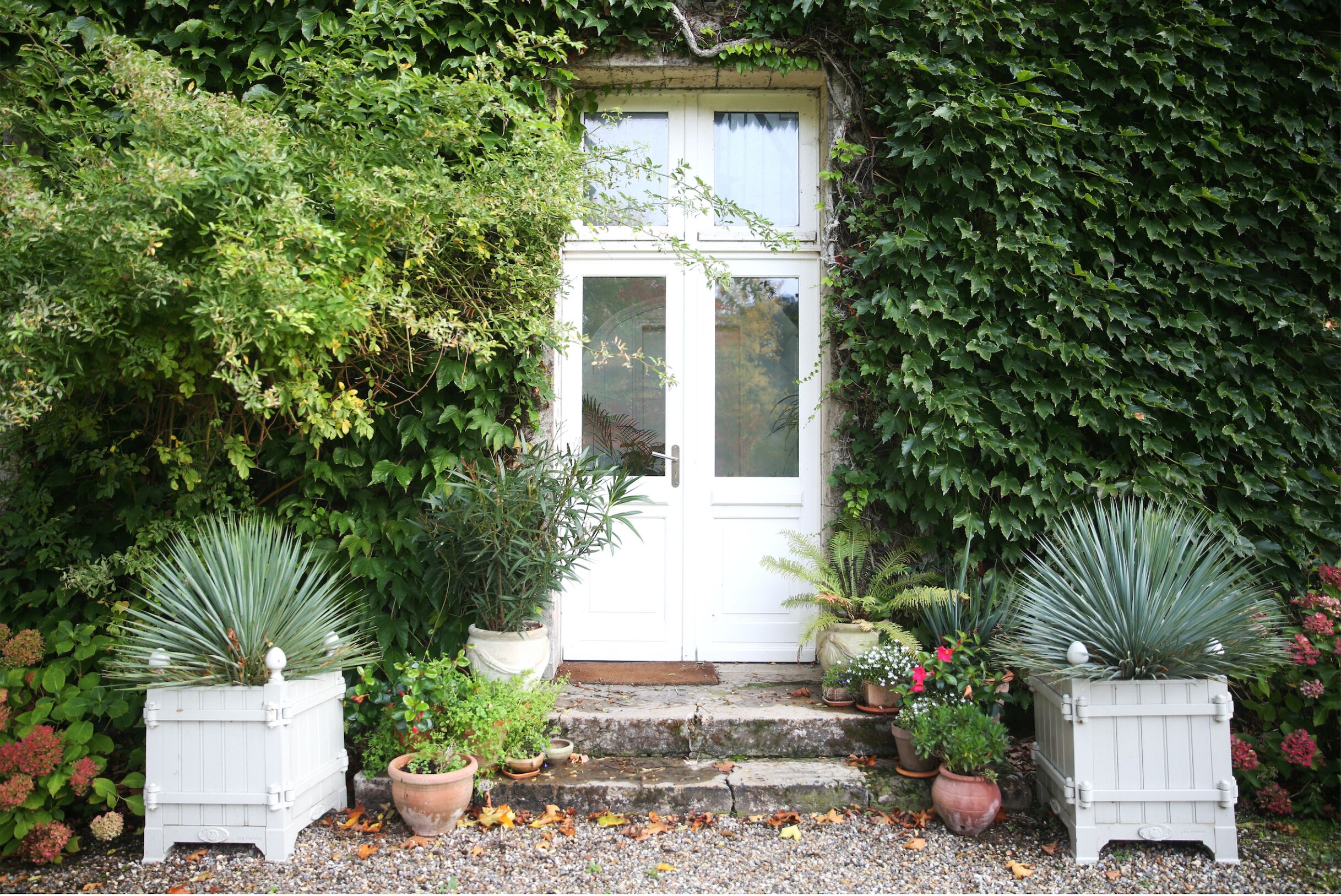 Exclusieve suite, privébadkamer, uitzicht op park | Lobby