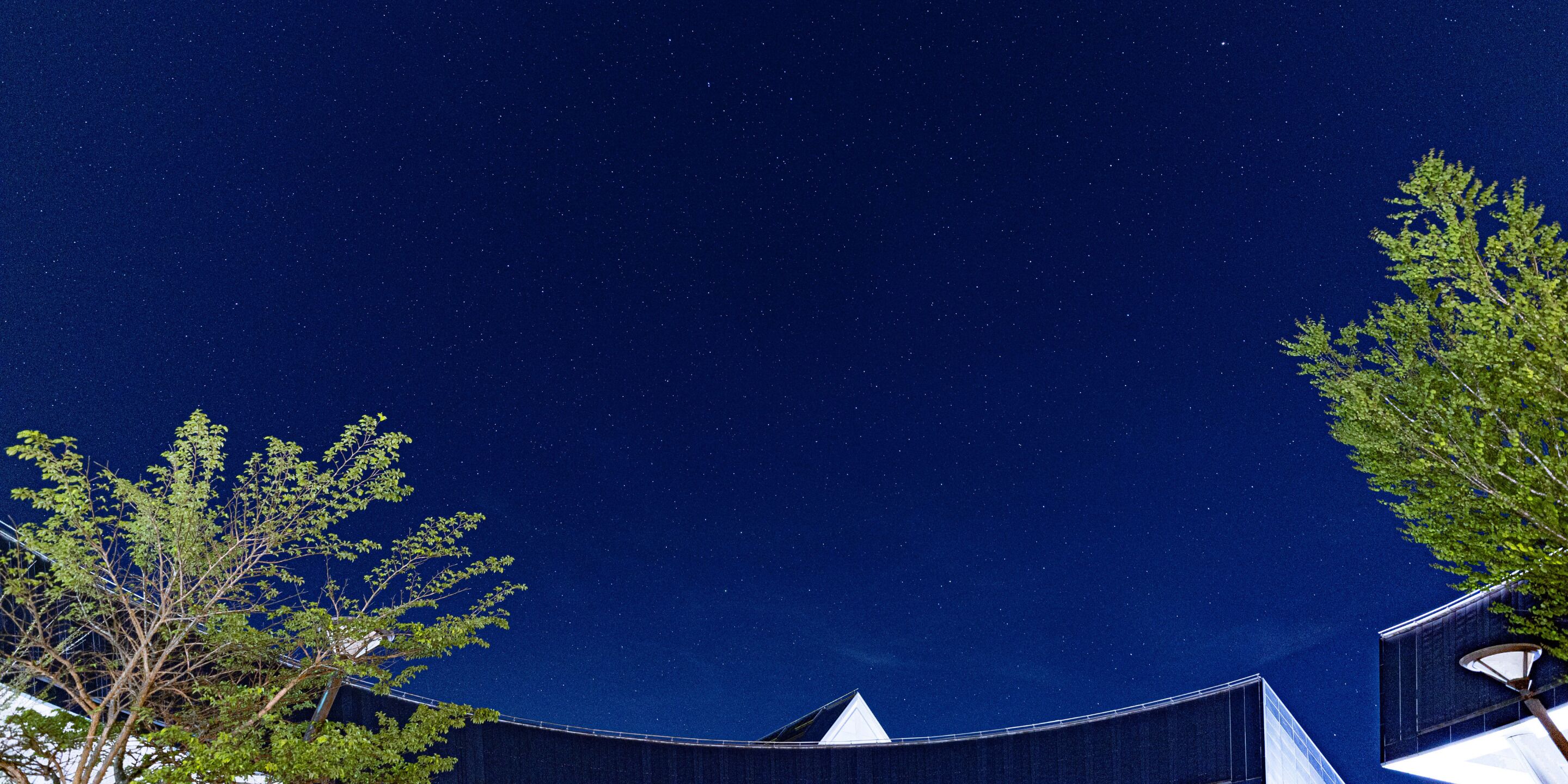 A night sky with stars, a curved building structure, and trees.
