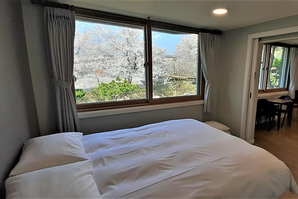 basic studio | 1 bedroom, free wifi