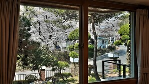 واي فاي مجانًا