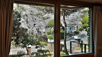 Vista a través de una ventana mostrando una calle bordeada de cerezos en flor, un edificio de ladrillo y un letrero que dice Hotel Sunflower.