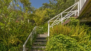 A staircase surrounded by lush greenery, leading to a building with a white railing and a wooden handrail. - Double the Beach - Opito Bay Holiday Home (Opito Bay)