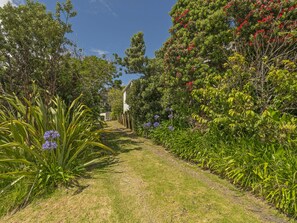 Un sendero en un jardín bordeado por abundante follaje y plantas florecientes, que conduce a un edificio.