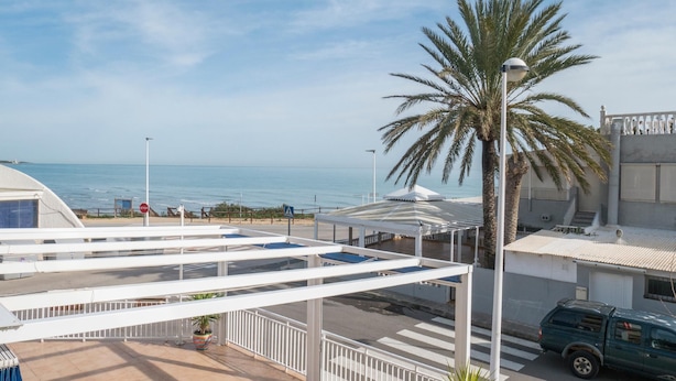 Un hôtel avec vue sur la mer, un palmier et un espace extérieur couvert.
