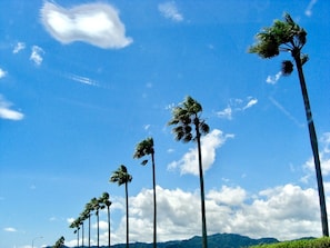 海灘/海景